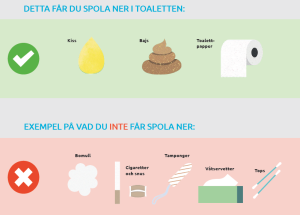 Vad du får och inte får spola ner i toaletten